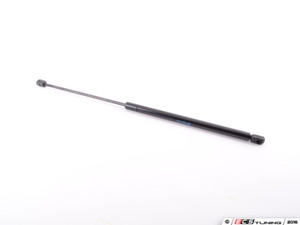 Hood And Hatch Strut Kit | ES2952392