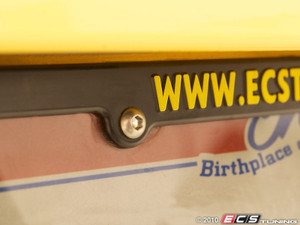 Slim Line' Stainless License Plate Bolt - 6x20mm - Priced Each
