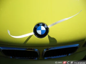 BMW Emblem / Roundel Removal Tool