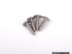 Stainless Steel License Plate Screws - Set Of 4 | ES2598159
