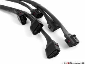 2.0T Coil Pack Conversion Kit - Anodized Black Plates with Red Coil Packs