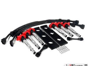 2.0T Coil Pack Conversion Kit - Anodized Black Plates with Red Coil Packs