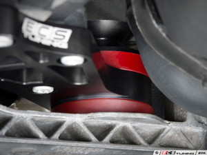 Performance Rear Differential Mount
