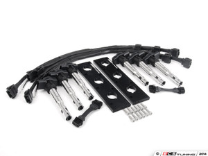 2.0T Coil Pack Conversion Kit - Anodized Black Plates With Black Coil Packs