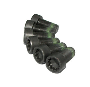 Flywheel Bolts, MkIV Volkswagen 1.8T 06A