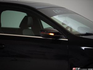 VW MK6 GLI/EOS/CC/B7 Passat Dynamic Mirror Turn Signals - Smoked