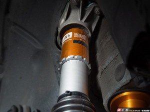 Ohlins X Turner Motorsport Street-Performance Coilover System - F8X