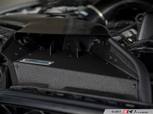 Luft-Technik Intake Air Scoop