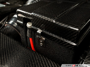 Carbon Fiber Battery Cover Kit | ES3187910