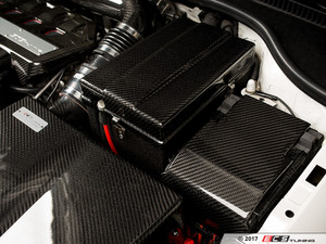 Carbon Fiber Battery Cover Kit | ES3187910