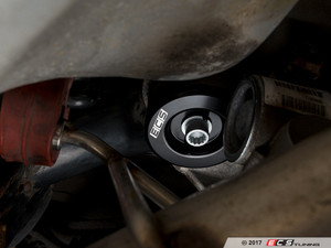 Rear Differential Mount Insert Kit (1 Insert) - Front Position