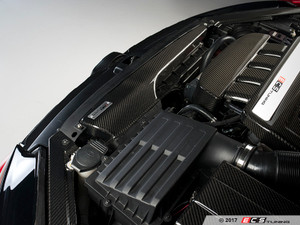 Kohlefaser Luft-Technik Dual Inlet Duct Kit
