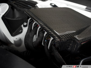 Carbon Fiber ECU Cover | ES3247906