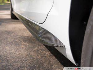 Carbon Fiber Side Blade Set | ES3195012