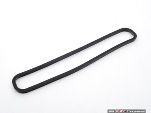 Basic ECS M62tu Vanos Rebuild Kit