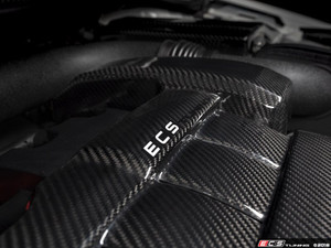Carbon Fiber Engine Cover Kit | ES3509779