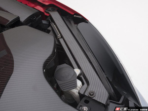Carbon Fiber Core Support Braces - Set