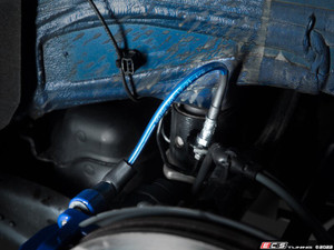 Rear Exact-Fit Stainless Steel Brake Lines - Blue