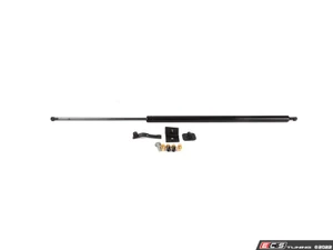 MK7 Jetta Hood Strut Kit