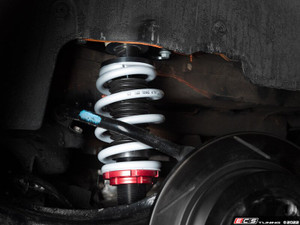 ECS Performance Adjustable Coilover System - R50/R52/R53 Gen 1 MINI