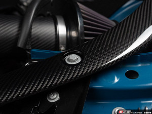 Carbon Corner Braces & N55 Carbon Open Intake