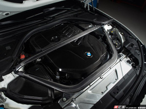 Carbon Lid - Gloss (For Strut Brace)
