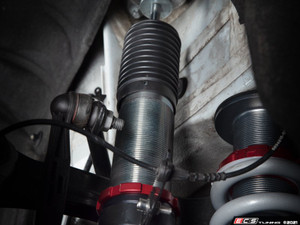 G20 Performance Adjustable Coilover System - RWD