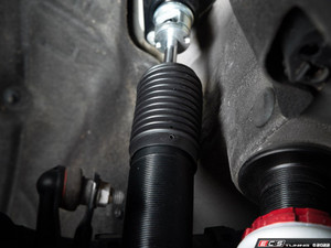 F30 Performance Adjustable Coilover System - 5 Bolt Top Mount