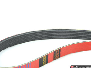 Performance Kevlar Reinforced Accessory Belt - ES4661023