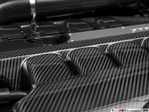 Carbon Fiber Engine Cover Kit - ES4620035