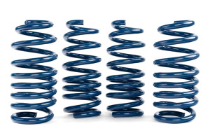 Dinan Performance Spring Set - BMW / F95 / F96 / X5M / X6M | D100-0936