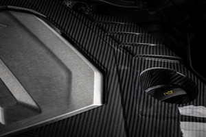 APR ENGINE COVER, CARBON FIBER, C8 RS6