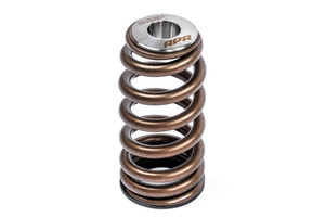 APR VALVE SPRING KIT, INDIVIDUAL