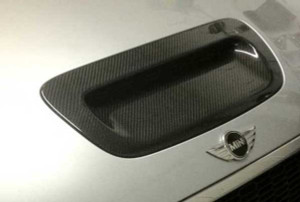 Racing Dynamics Carbon Fiber Hood Scoop - Gen 3 F5X Mini | 121.18.56.100