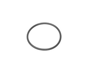 Thermostat O-Ring