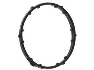 Thermostat Gasket