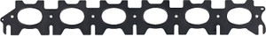 RN_711248400_Top.jpg