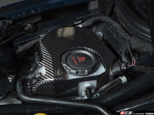 Coolant Expansion Tank With Carbon Fiber Cover | ES4820175