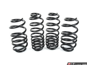 C7 A6 / A7 Lowering Spring Set | ES4714529