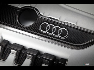 OSIR TTS Engine Cover Kit Carbon Fiber - 2 Pieces