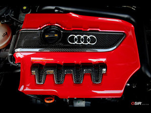 OSIR TTS Engine Cover Kit Carbon Fiber - 2 Pieces