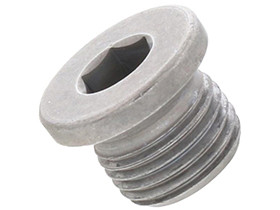 Engine Oil Drain Plug