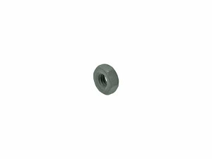 Hex Nut
