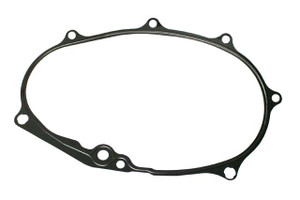 Timing Chain Cover Gasket