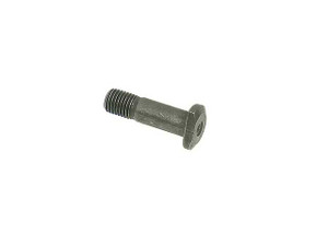 Valve Adjusting Bolt