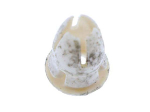 Moulding Clip