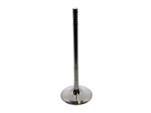 Intake Valve