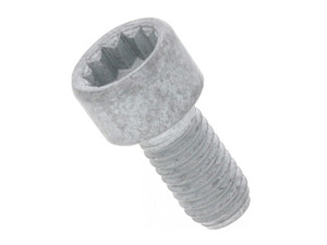Screw