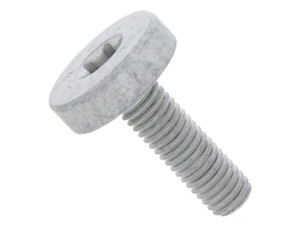 Drive Belt Tensioner Bolt