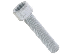 Cardan Shaft Bolt